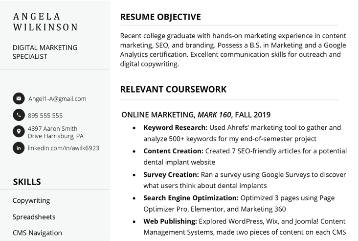 resume summary no work experience