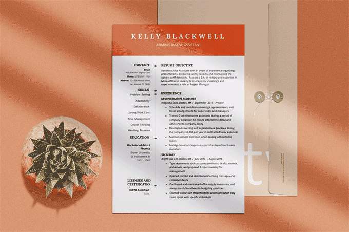 A resume template with an orange header sitting on an orange table next to a succulent with unseen window blinds casting diagonal shadows across the table.