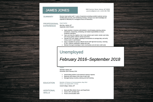 sample resume for career break