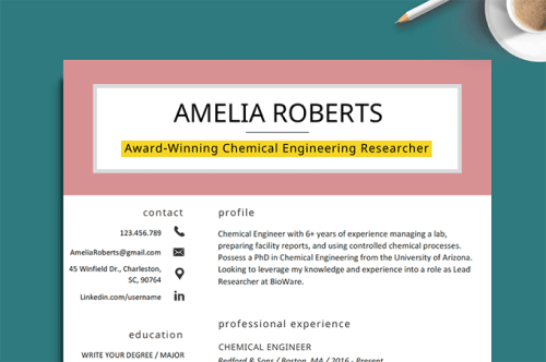 Image of a resume with the resume headline highlighted