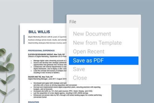 Image showing a resume PDF file.