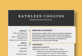 An image of a resume with the resume personal statement highlighted