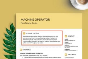 how to write career profile in resume