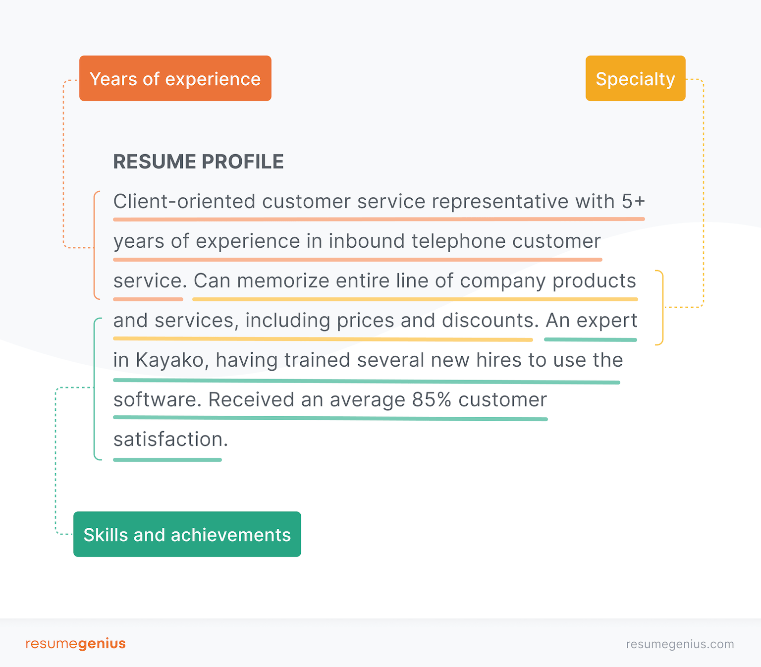 Resume Profile Infographic