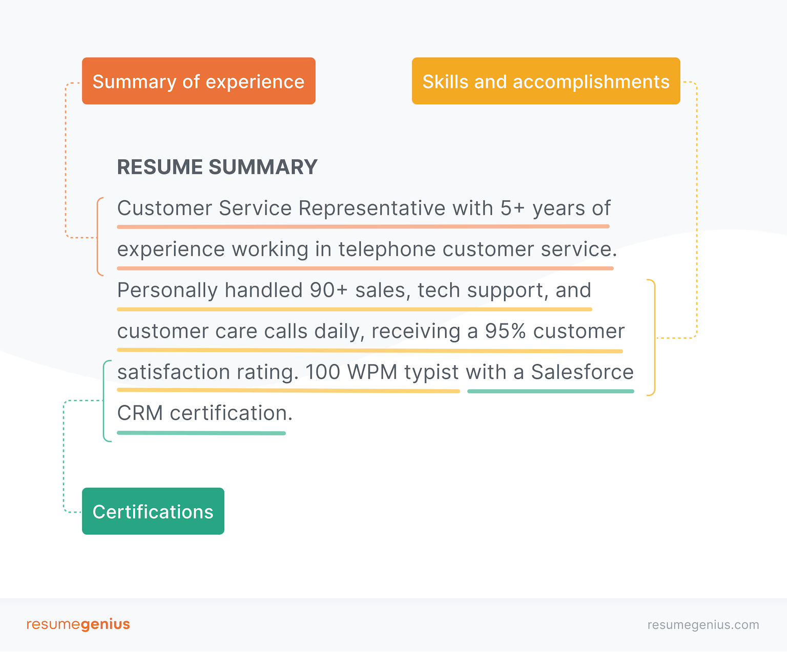 Resume Summary Infographic