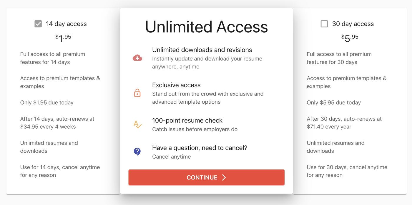 A screenshot of Rocket Resume&#039;s subscription plans.