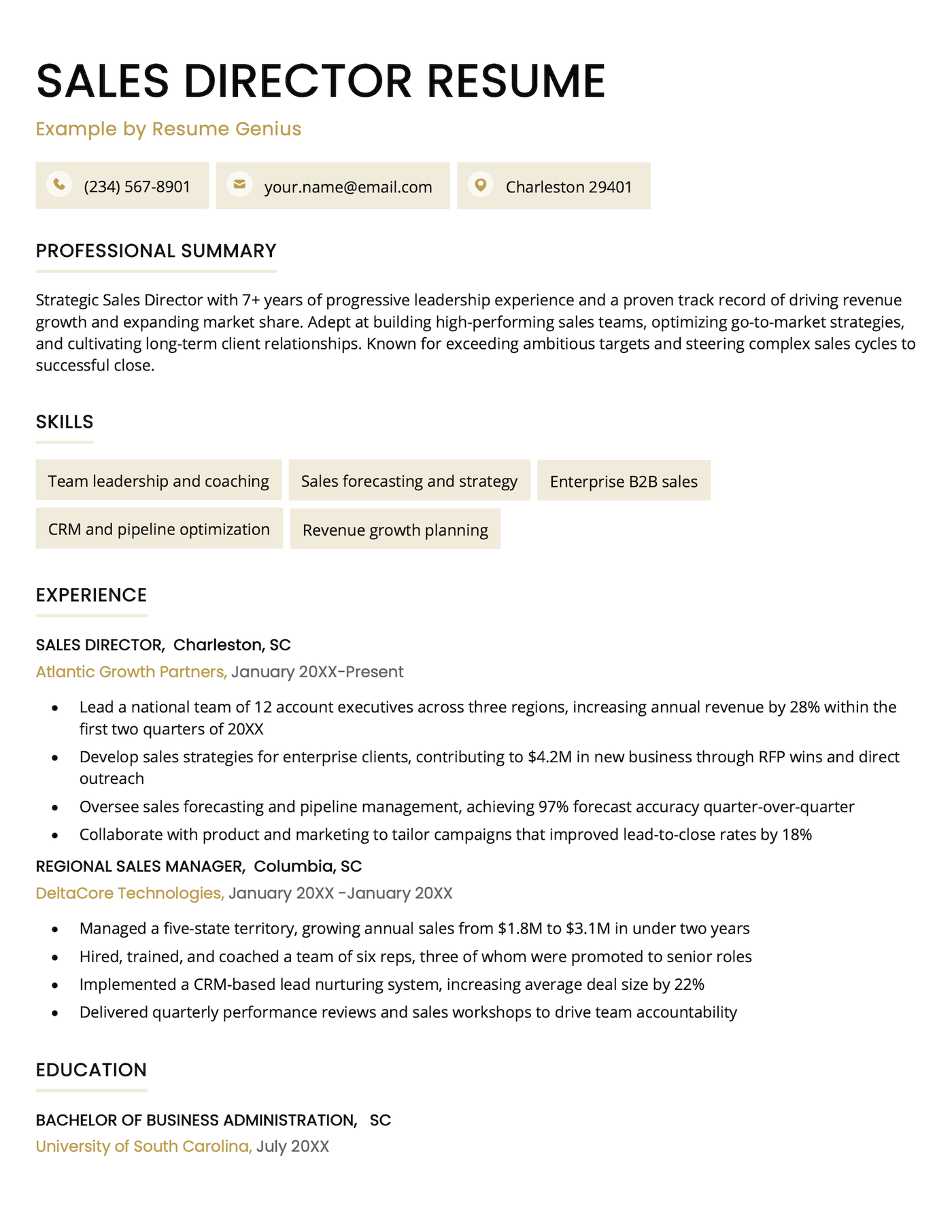 A sales director resume example.