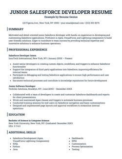 A junior Salesforce developer resume example.