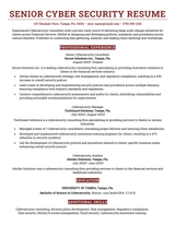 An example of a resume for a senior-level cyber security job.