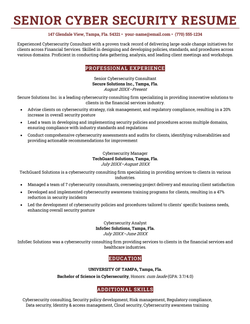 An example of a resume for a senior-level cyber security job.