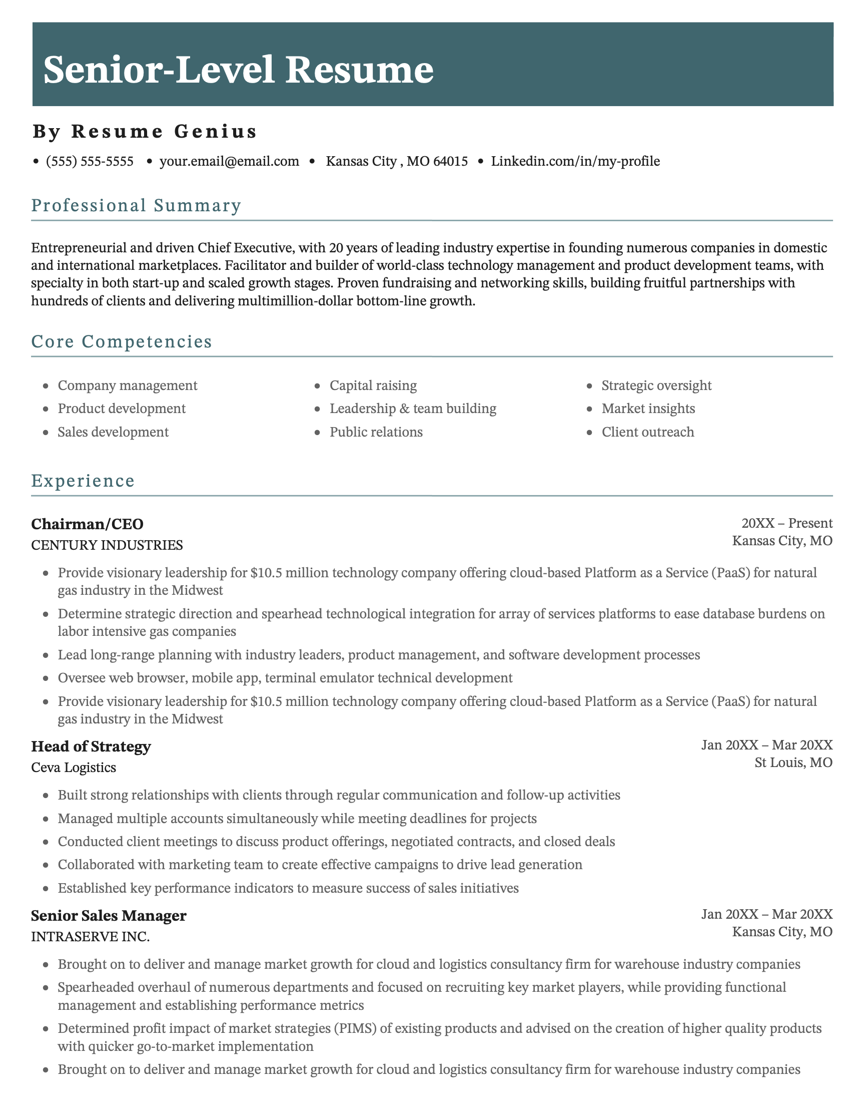 Example of a senior level resume written by a chief executive with 20 years of experience.