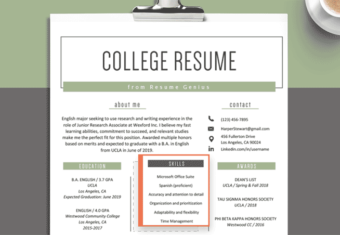 skills section of a resume highlighted on a resume. Resume skills section that mentions Microsoft office, language proficiency, and other soft skills