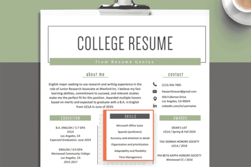 what to write on resume for skills