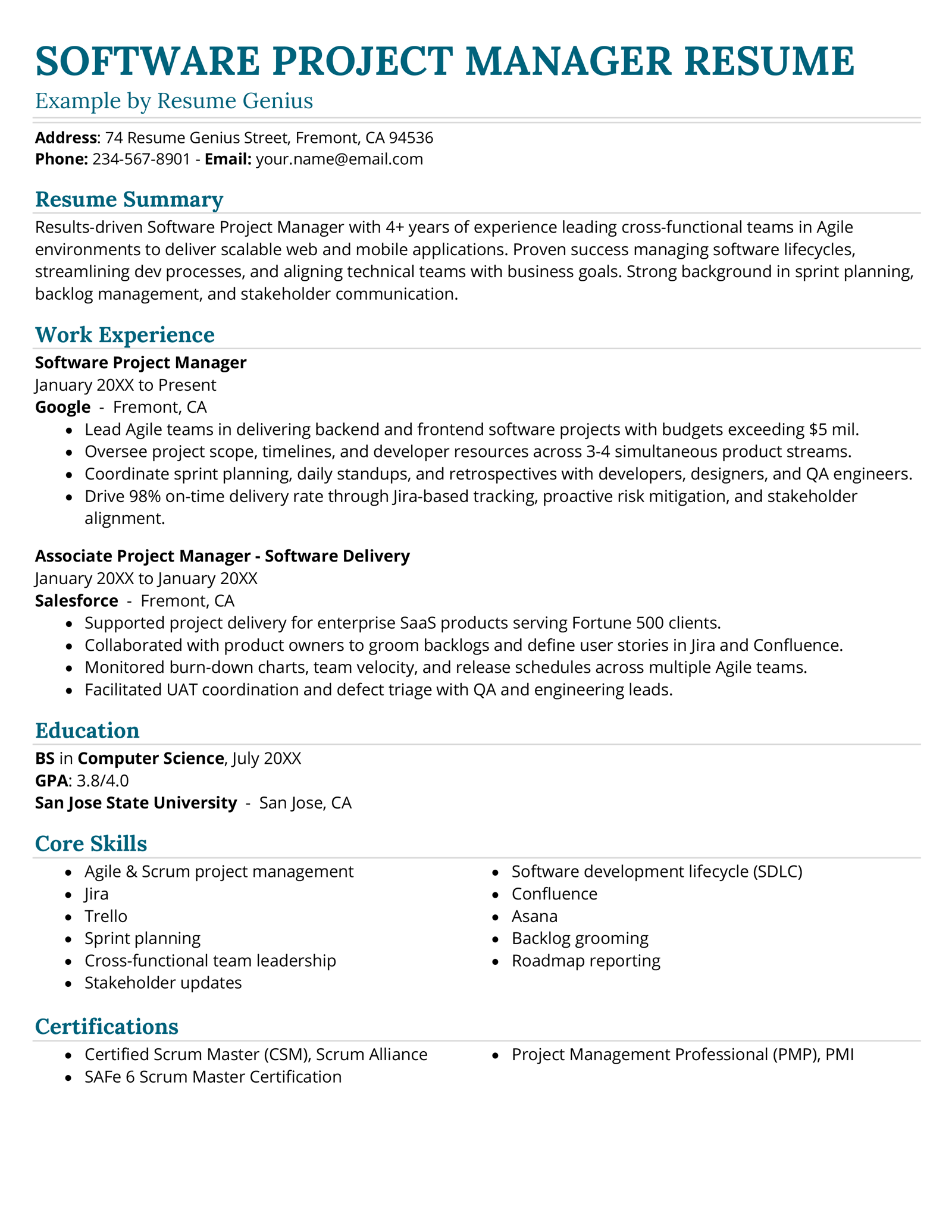 A software project manager resume example.