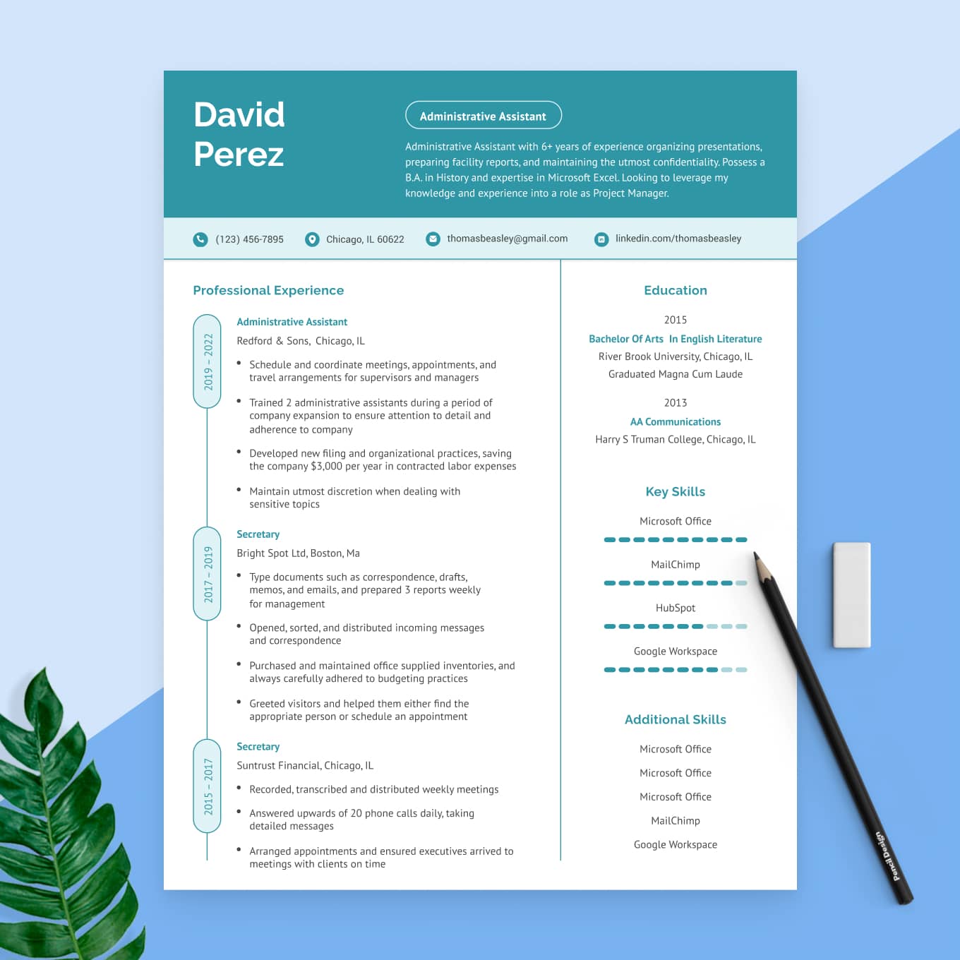 Our Standard resume template atop a wooden table with a succulent beside it.