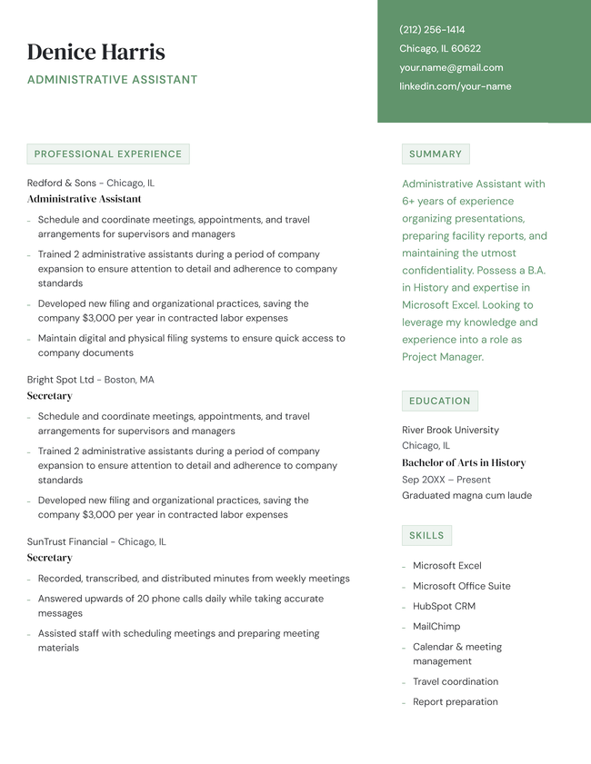 The Success two-column resume template in green.