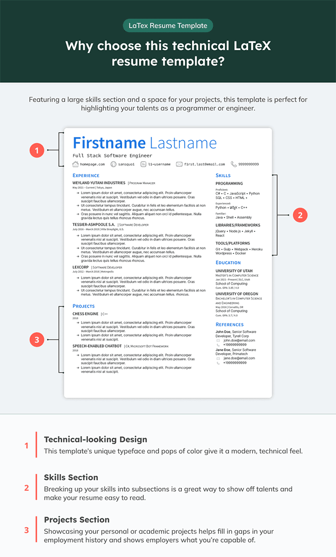 A technical LaTeX resume template