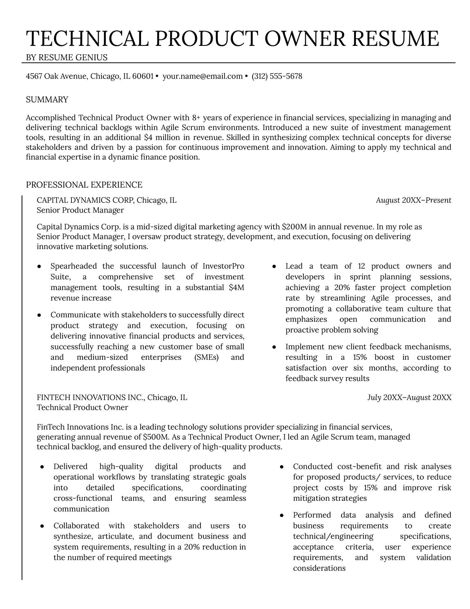 technical product owner resume example - FInance Sector (experienced)