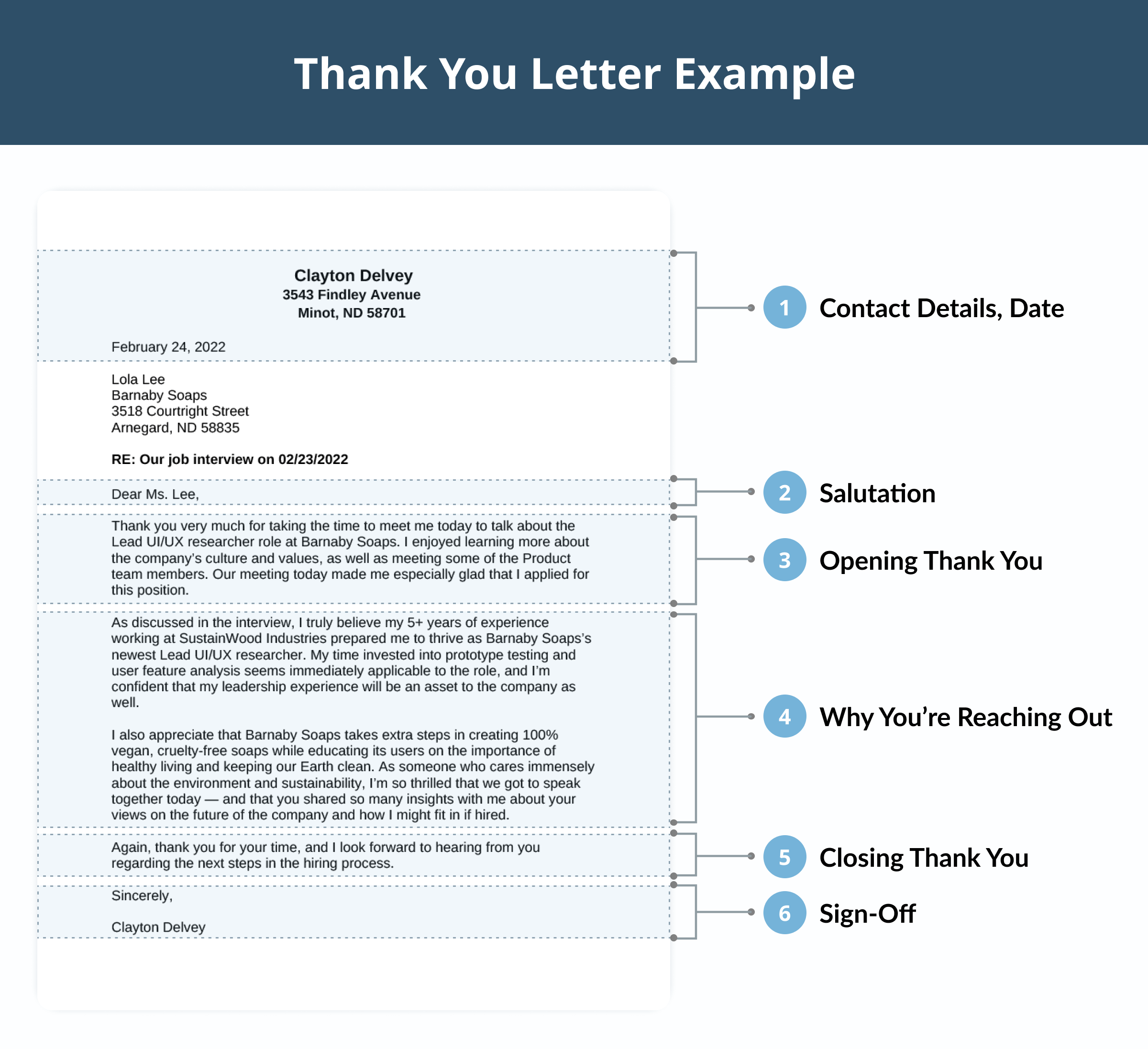 An infographic showing what a thank you letter example looks like