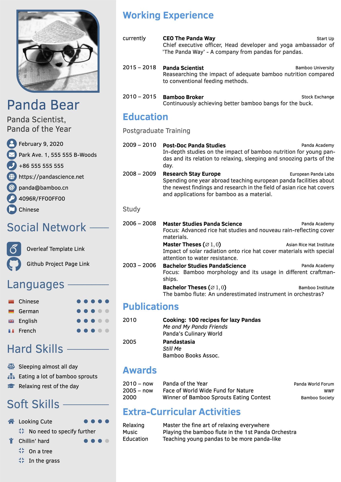 Unique LaTeX resume template.
