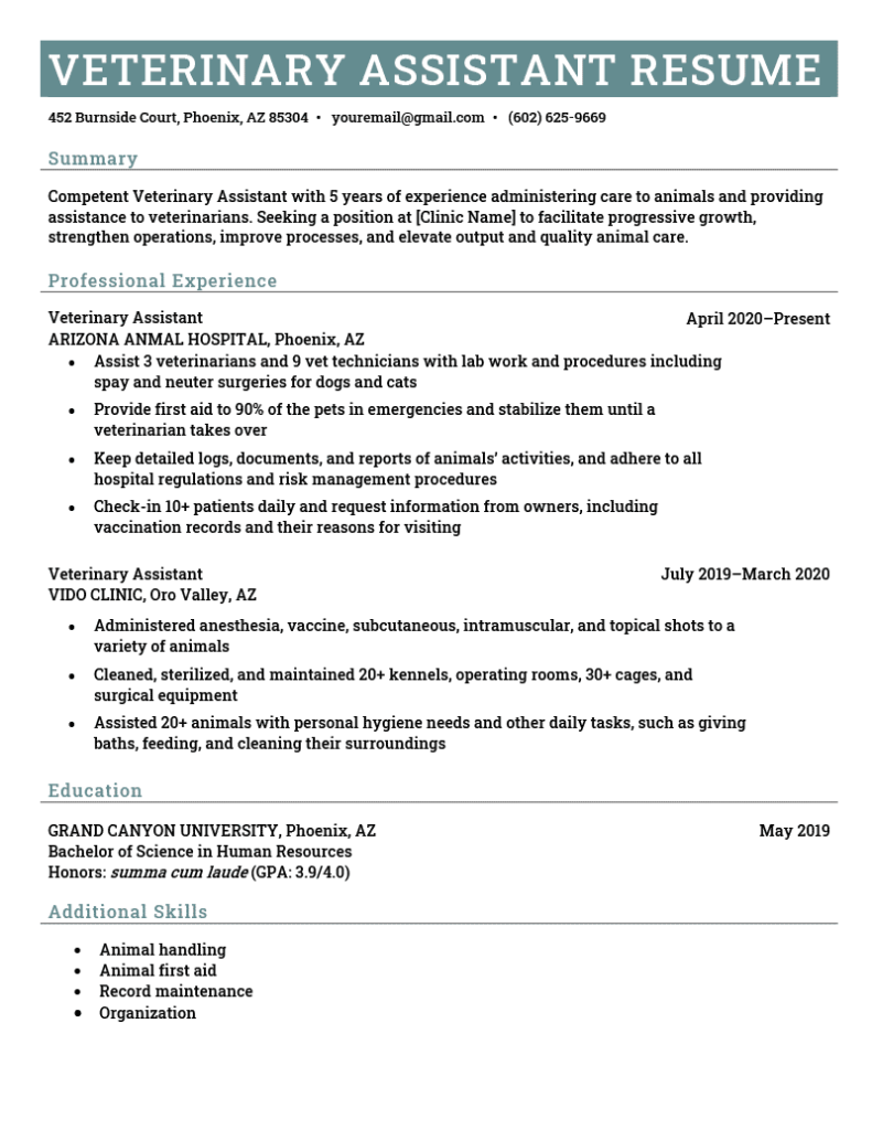 resume examples for veterinary technicians