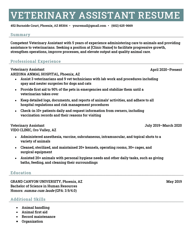 A veterinary assistant resume on a template that is separated into four sections including a resume objective at the top, followed by the applicant’s professional work experience, education, and additional skills