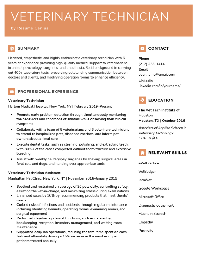 resume summary for vet tech