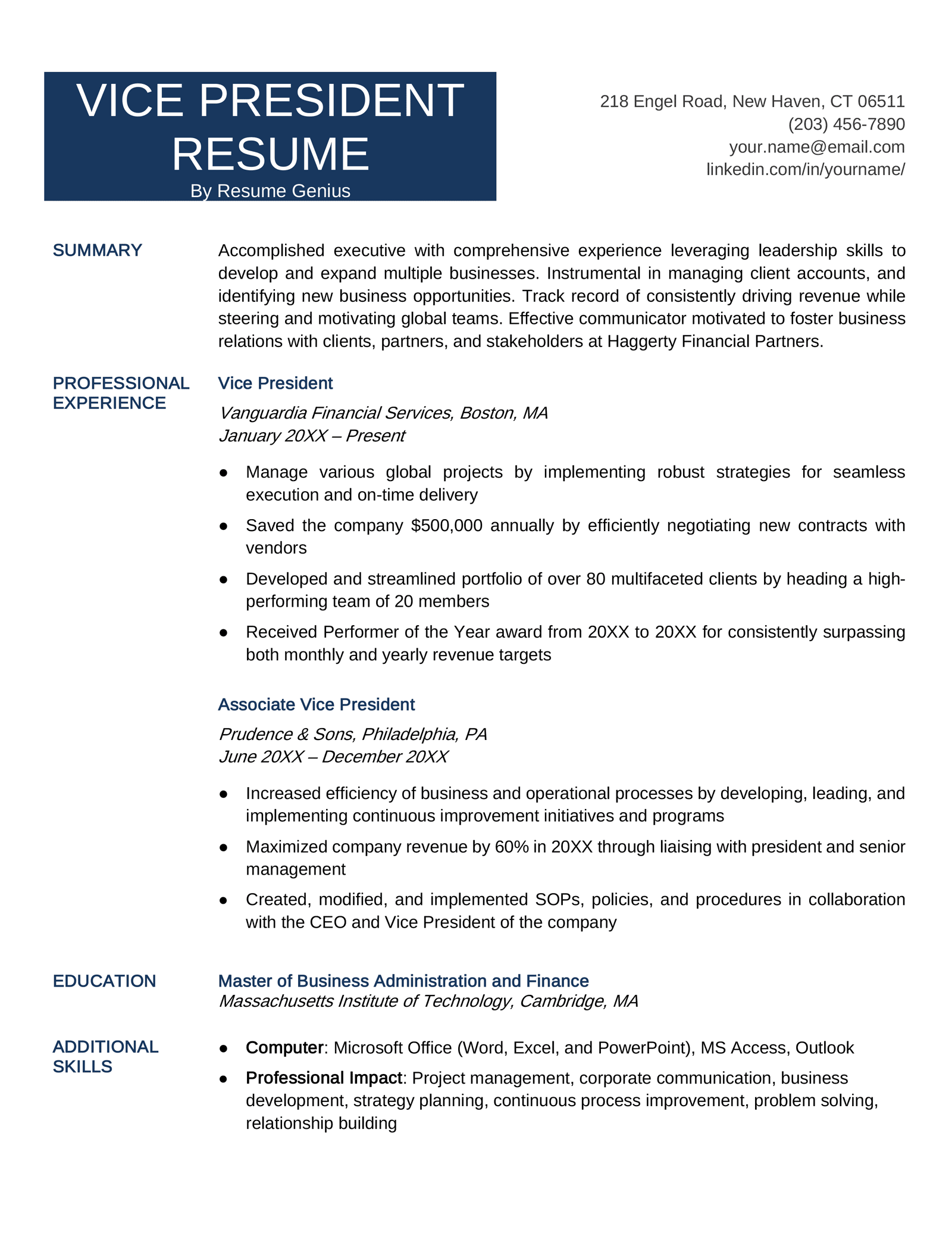 resume format for vice president