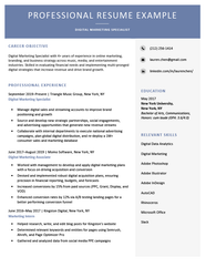 What Is A Resume Definition Purpose Examples