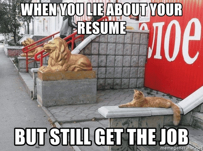 A resume meme picturing of a cat posed next to a golden lion: "when you lie about your resume but still get the job."