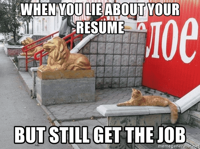 When You Lie On Your Resume Meme Big Bird Nathan