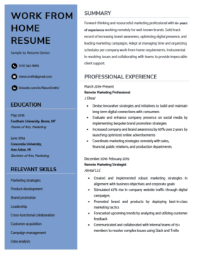 Work from Home Resume Sample - Work From Home Resume Sample 280x362