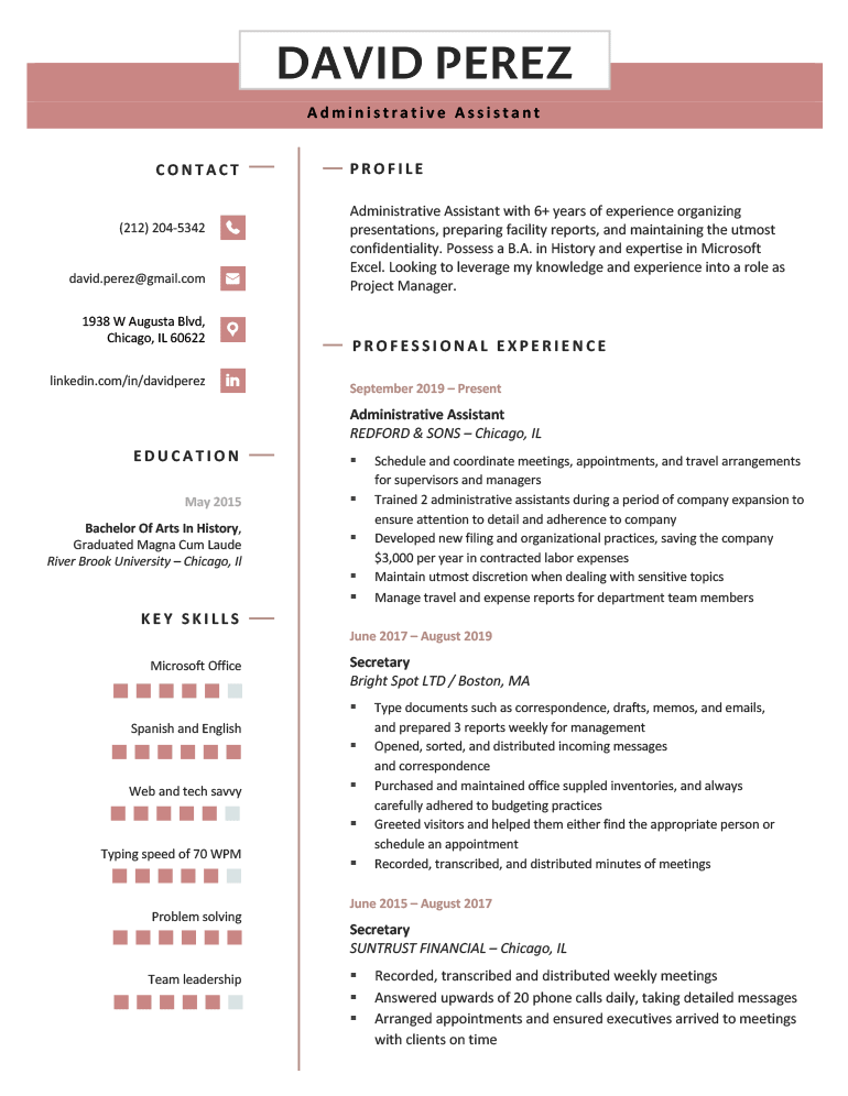 A sample image of the free "Premium" resume template for MS Word